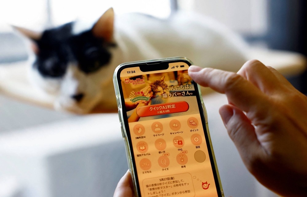 Japanese App Uses AI to Spot Cat Pain